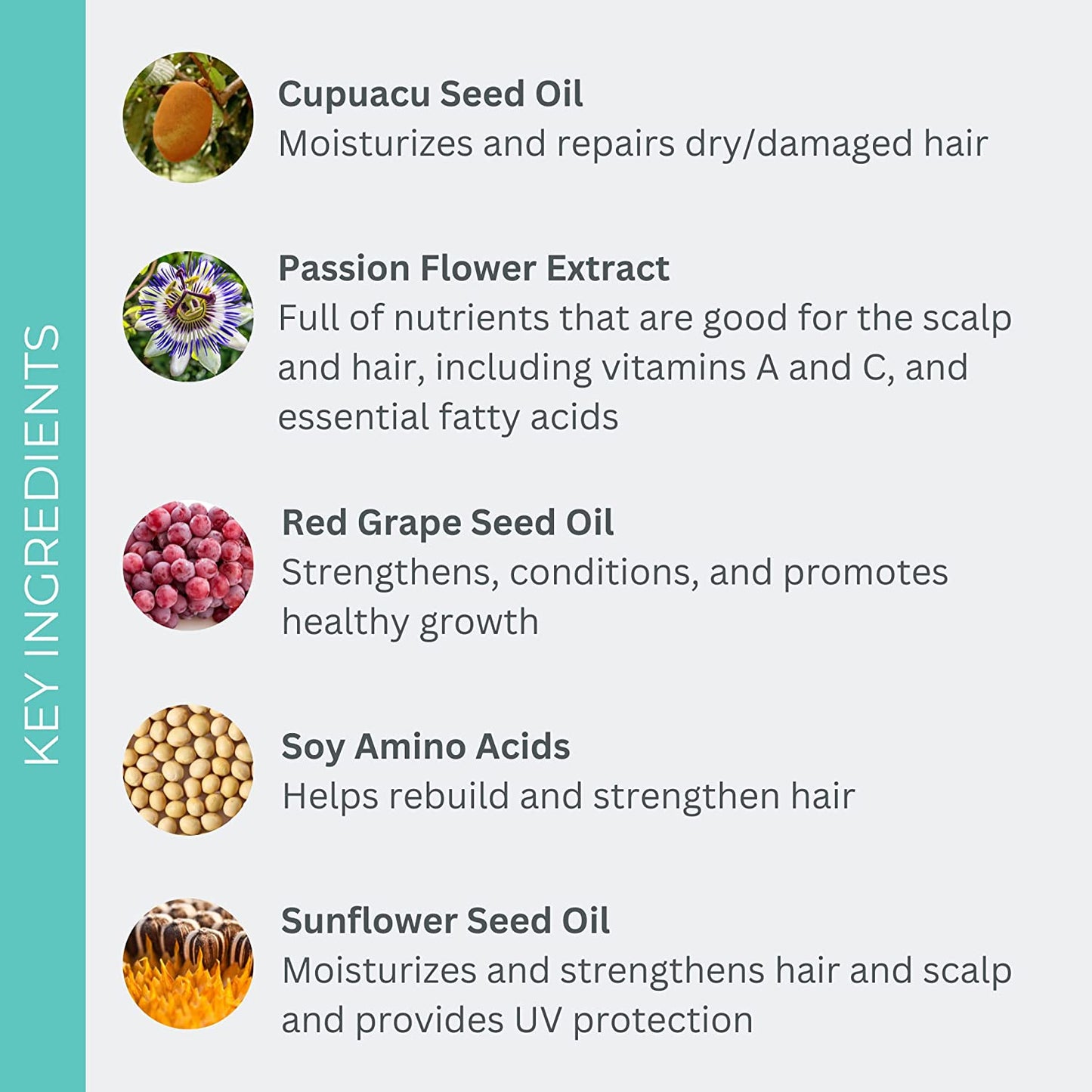 - Natural Ultrashine Moisture Conditioner | Vegan, Non-Toxic, Clean Hair Care (2 Fl Oz | 60 Ml)