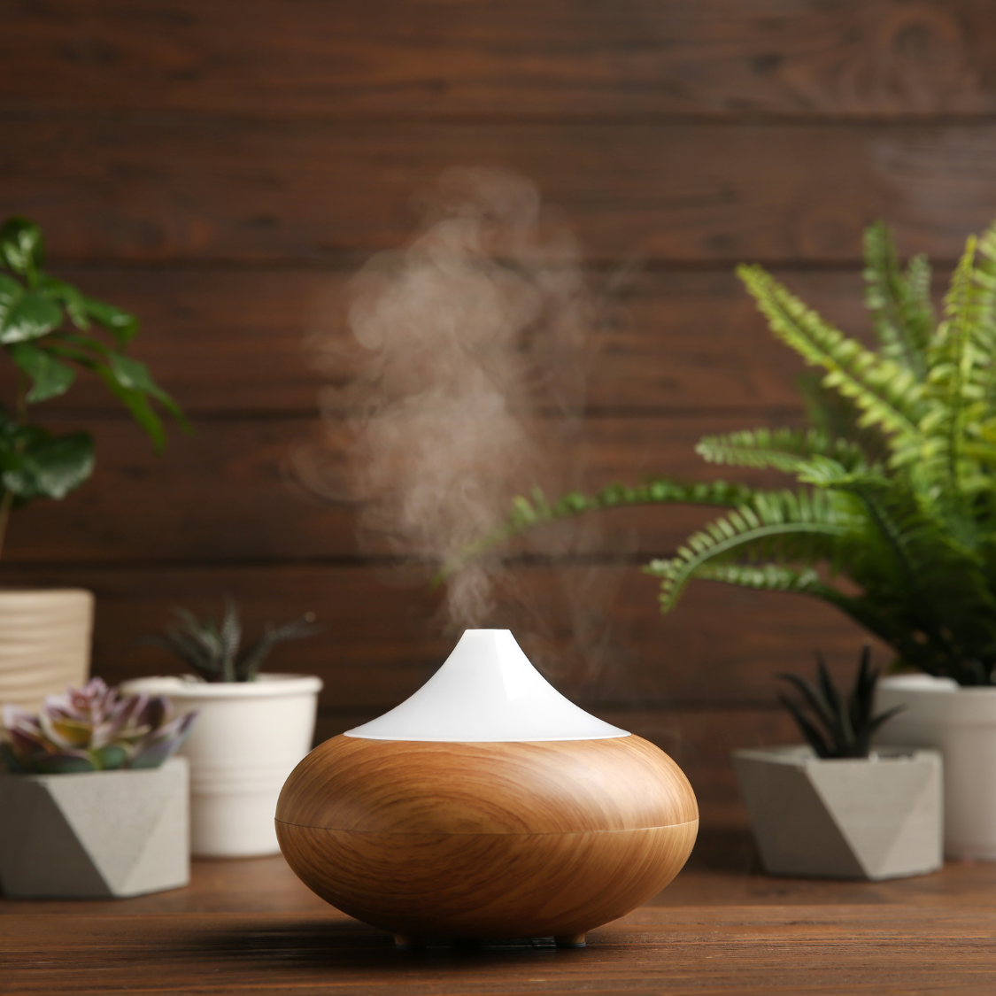 Diffuser and Humidifier