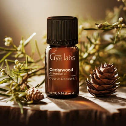 Cedarwood Essential Oil